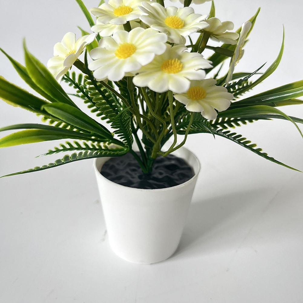 Indoor Chrysanthemum Bonsai Style Plant for Desk Nightstand Table Decor