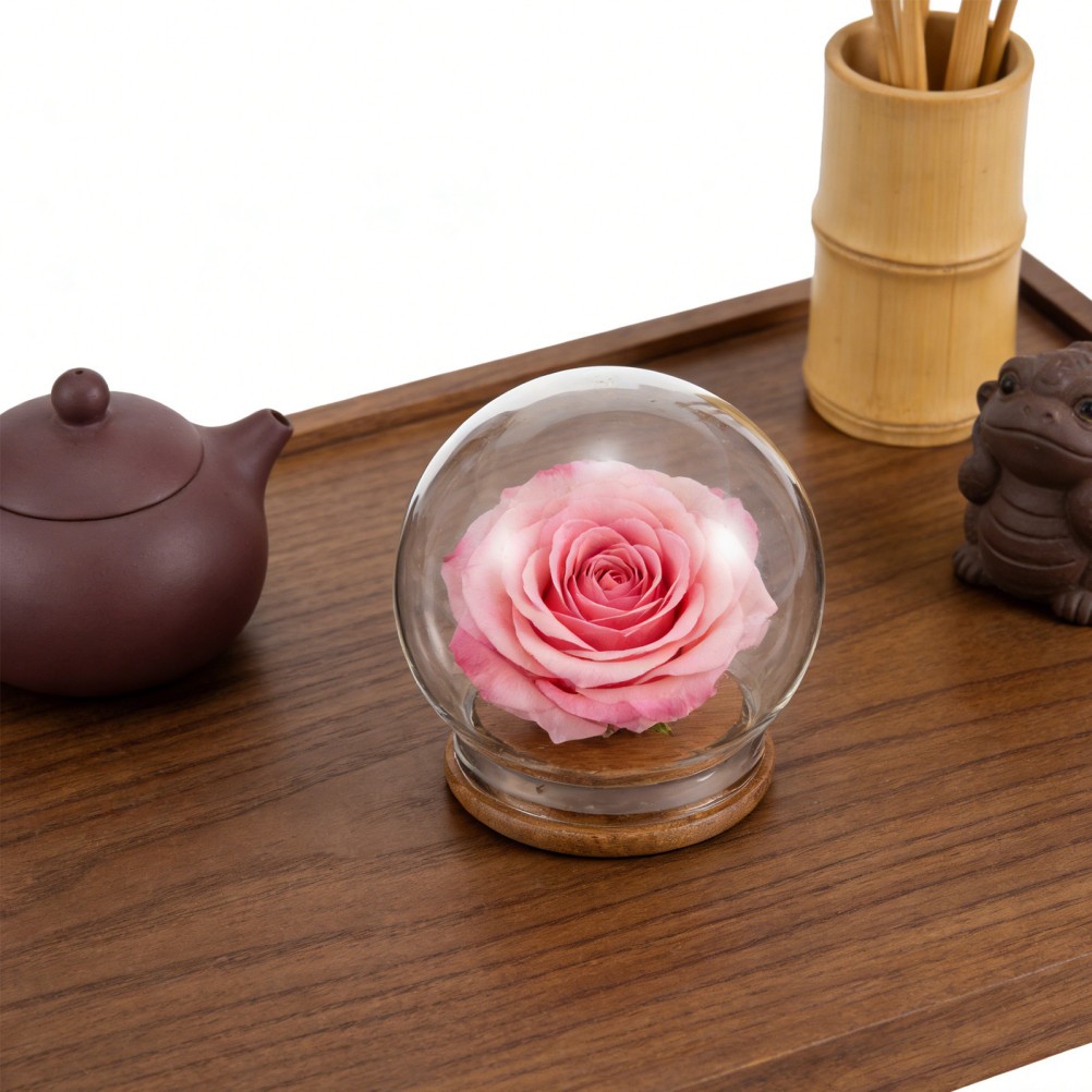 2Pcs Clear Glass Dome Cloche Covers for Miniature Display and Dust Protection
