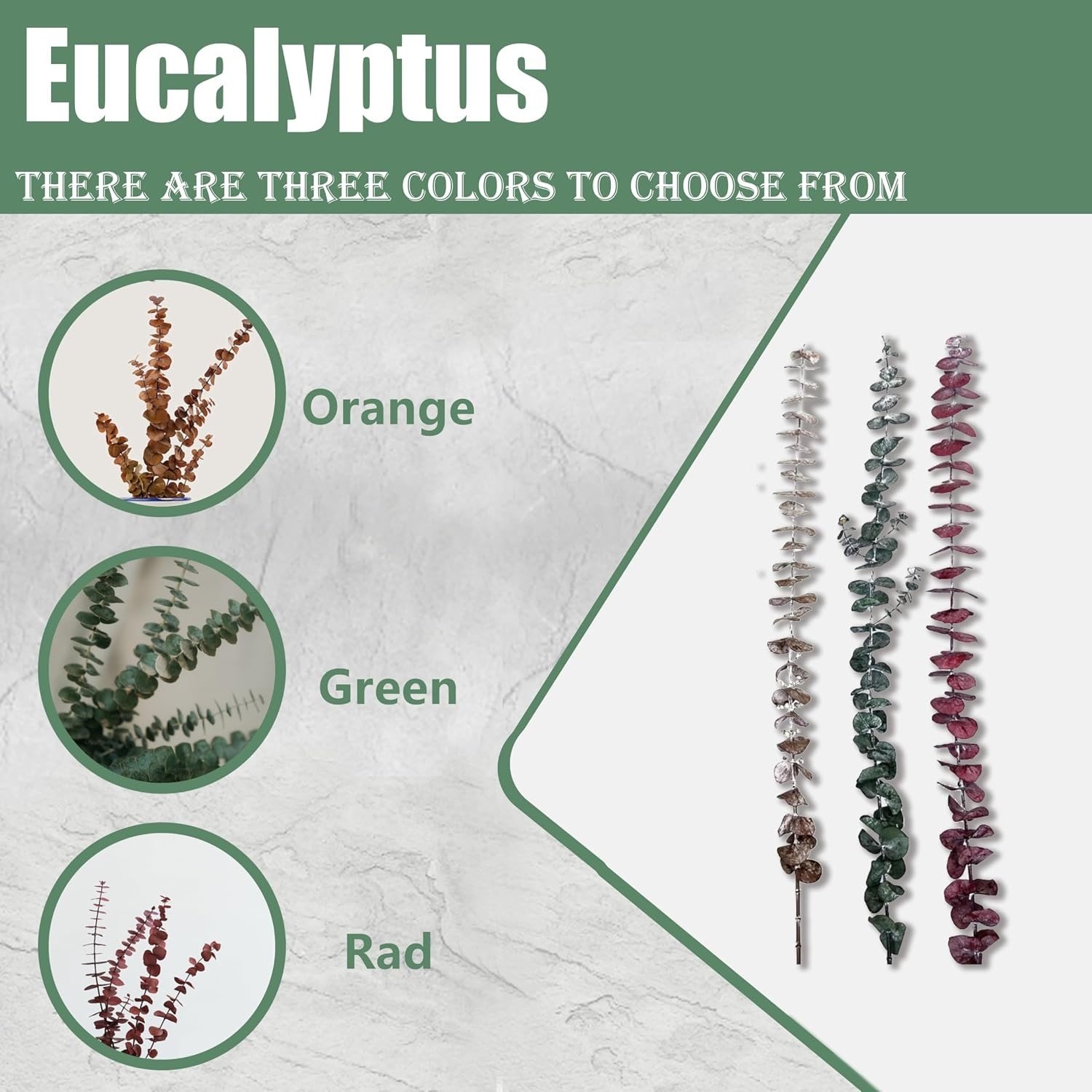 20Pcs Dried Eucalyptus Stems – Red, Real Long Eucalyptus, Dried Flowers for V…