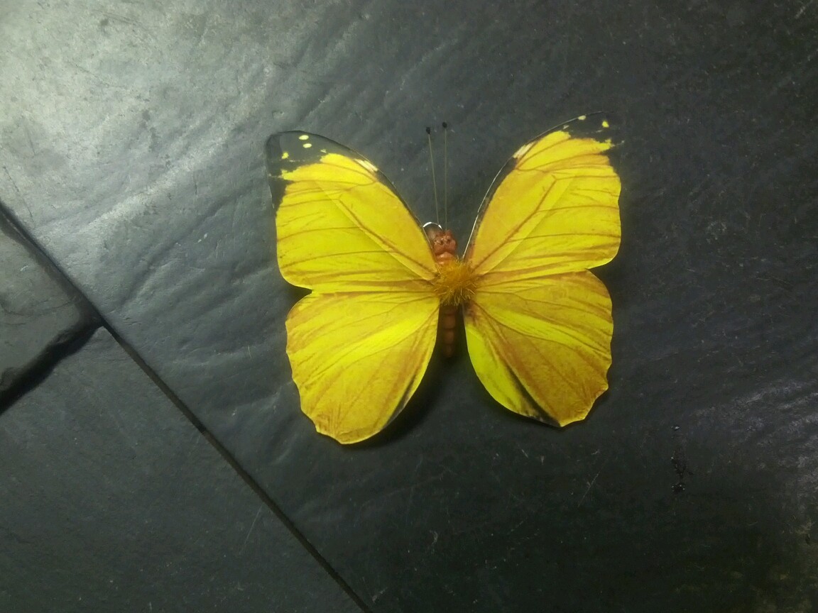 6 BUTTERFLIES 3D PAPER YELLOW REALISTIC CLIP ON DECORATIVE FLORAL HOME DECOR