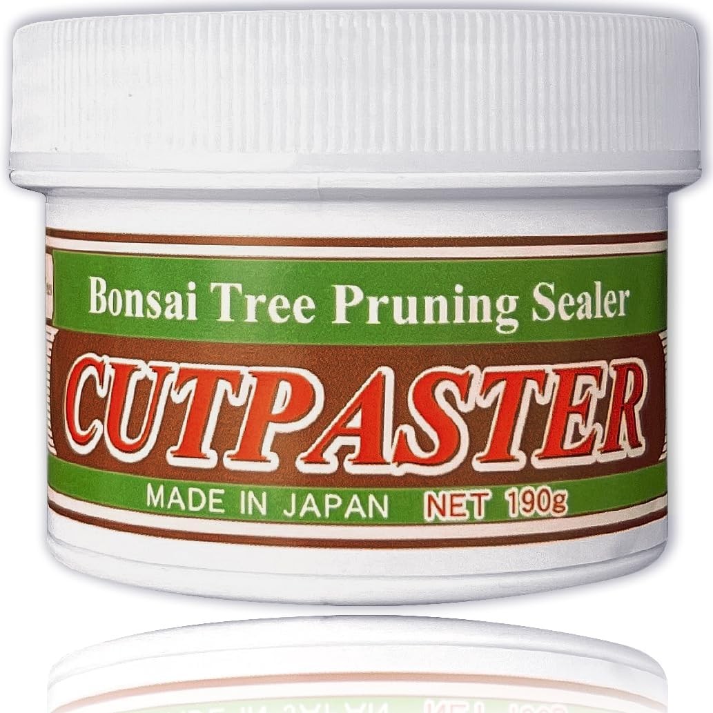 CUTPASTER Bonsai Cut Paste Tool 190g (Gray) GLAY