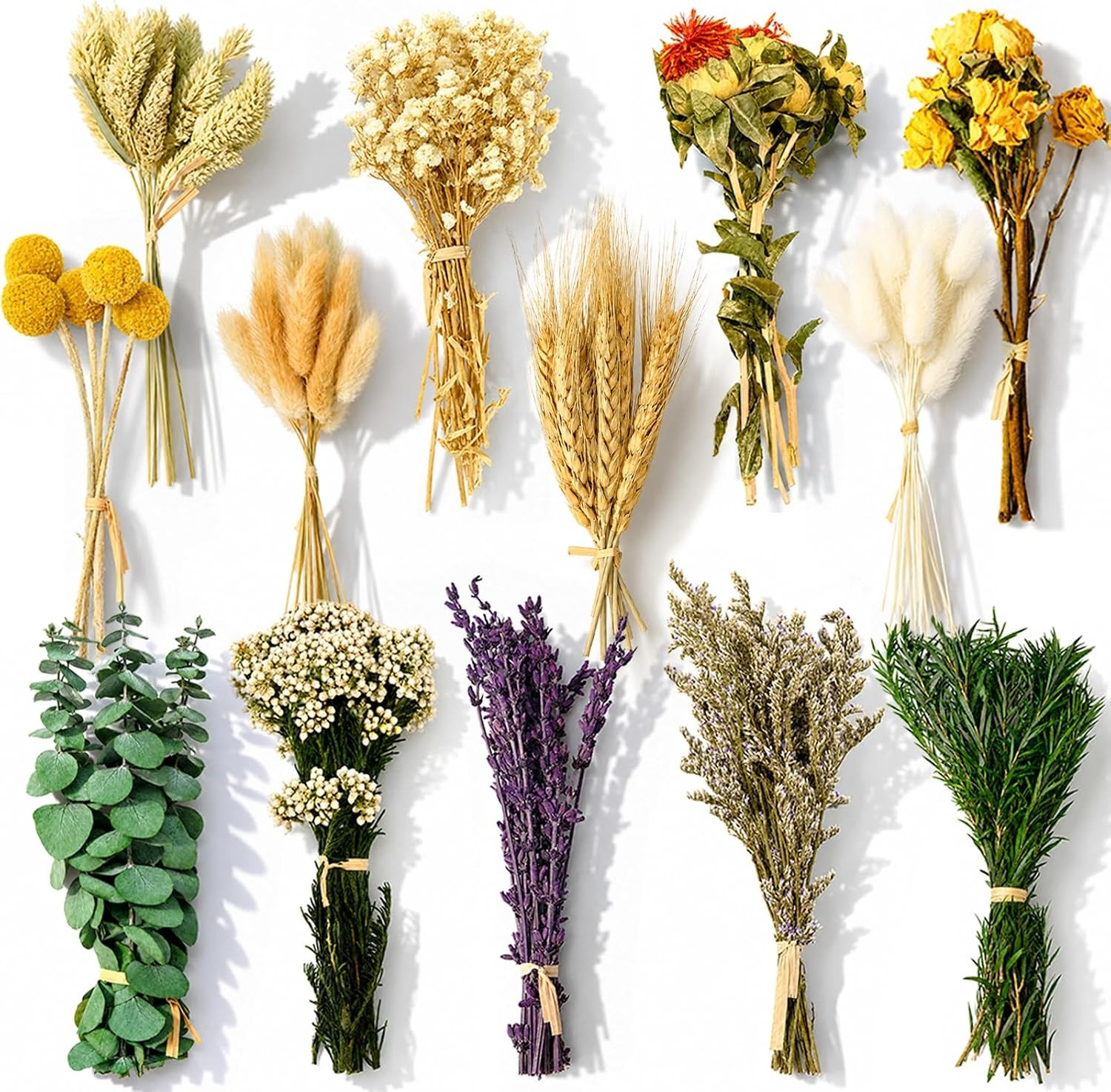 150Pcs DIY Natural Dried Flower Set, Preserved Mini Flowers Bouquets | Mixed Dri