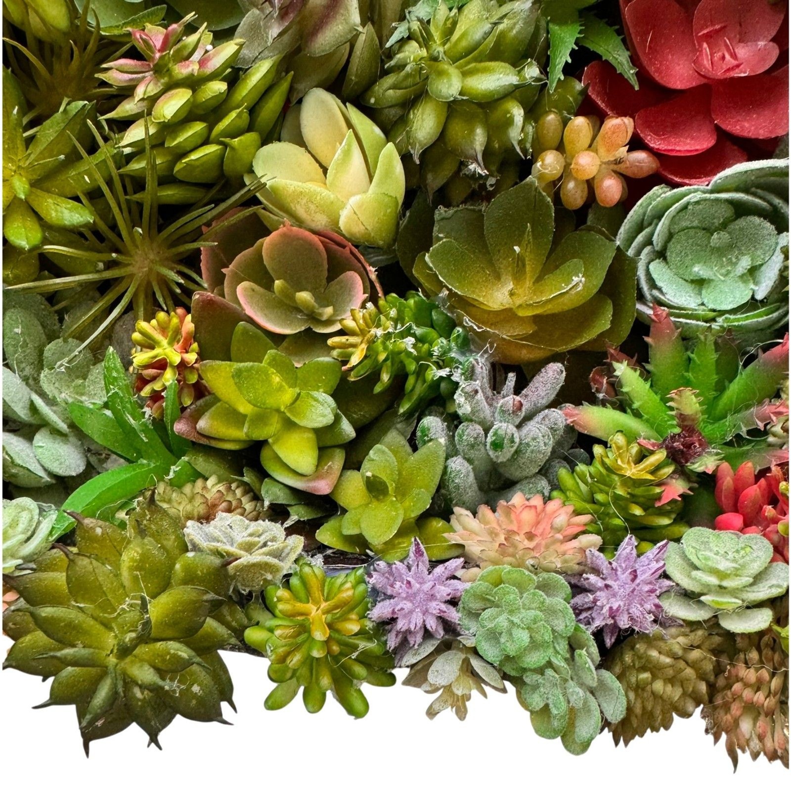 Succulent Wall Art Boho Faux Botanical Decor 8x8x2