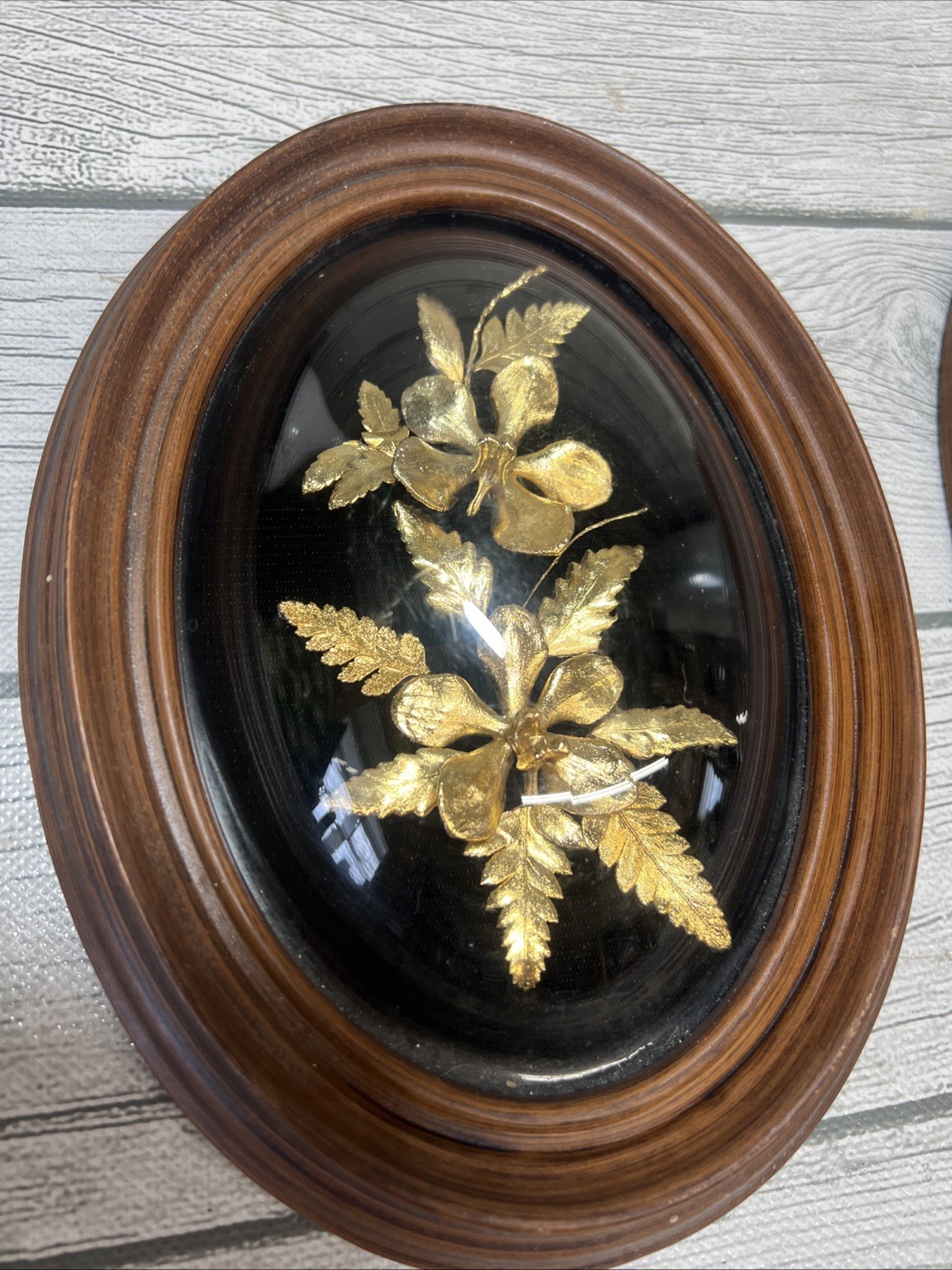 Flora Hawaii 24K Gold Encased Orchid Fern Art Dome Glass WoodFrame VTG Pair