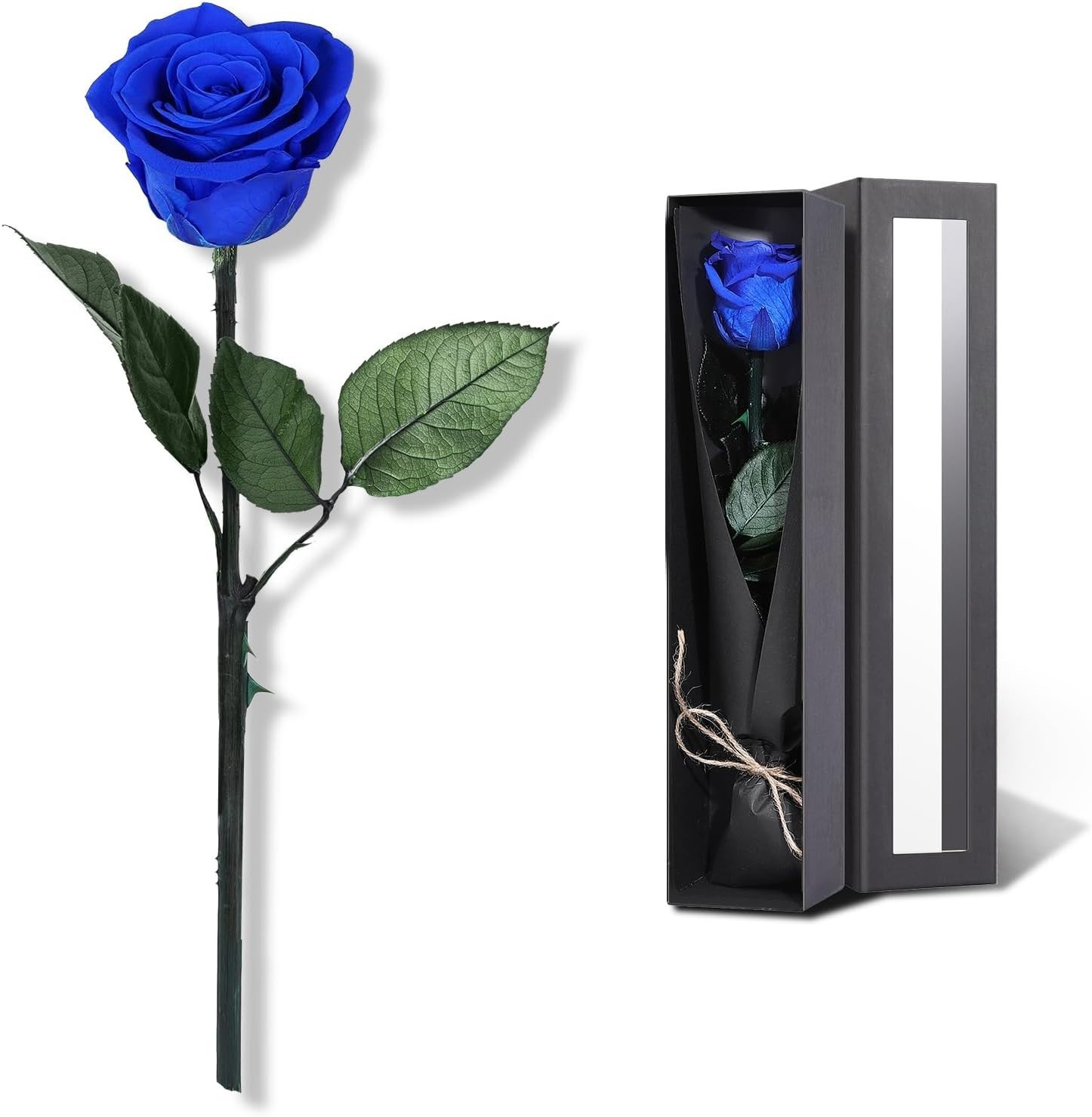 Elegant Preserved Blue Roses – Perfect Birthday & Anniversary Gift for Women