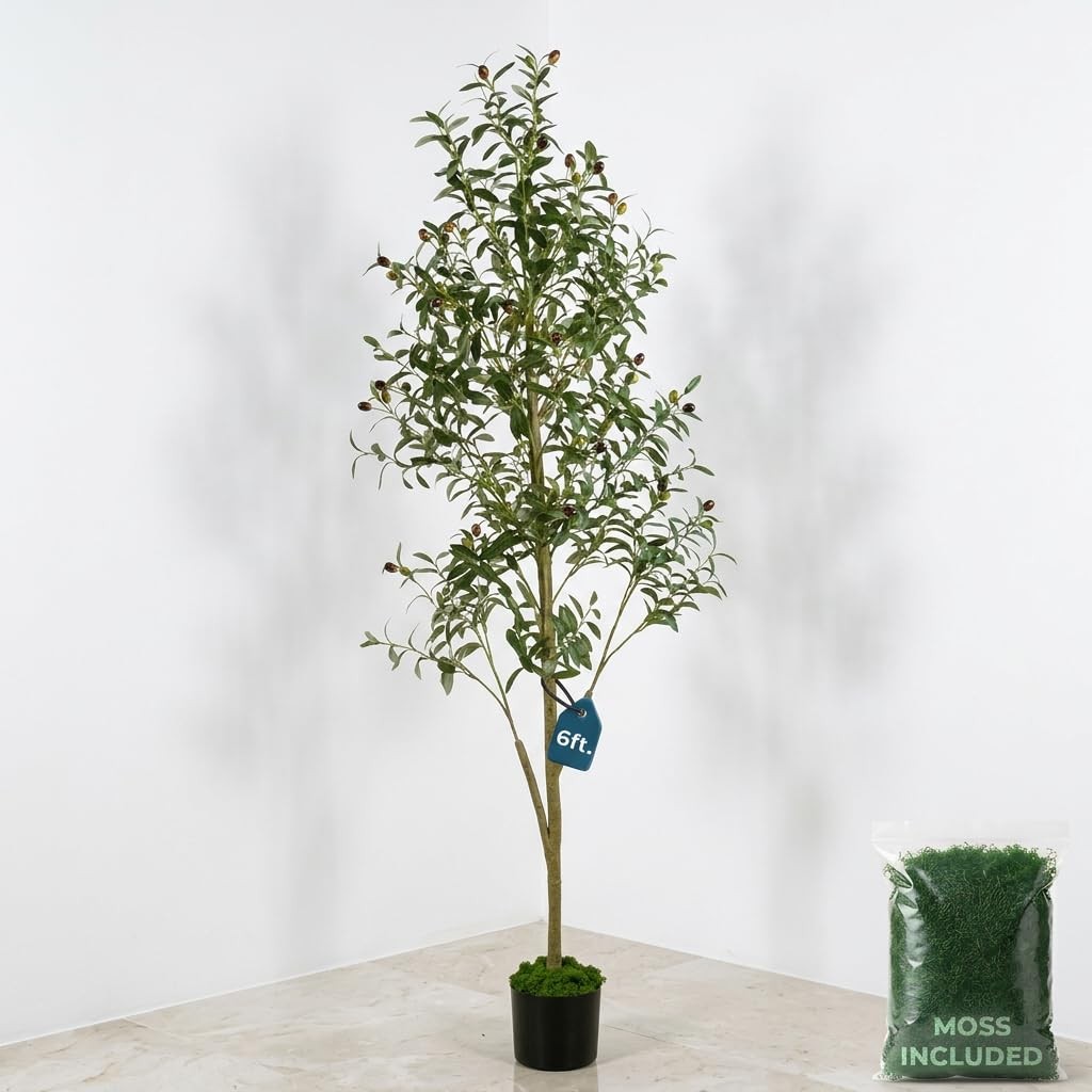 6ft (180 cm) Artificial Olive Tree with Black Plastic Pot & Moss – 1080 Leave…