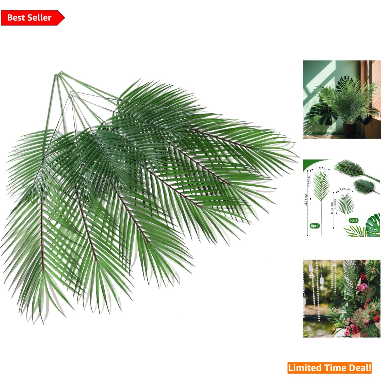 Sturdy 12-Piece Palm Leaf Set – 28.74″ & 15.35″ for Interior & Exterior Use