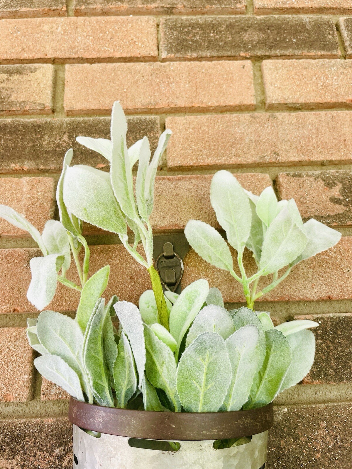 Lamb’s Ear Pick, 13” Bundle Of 3