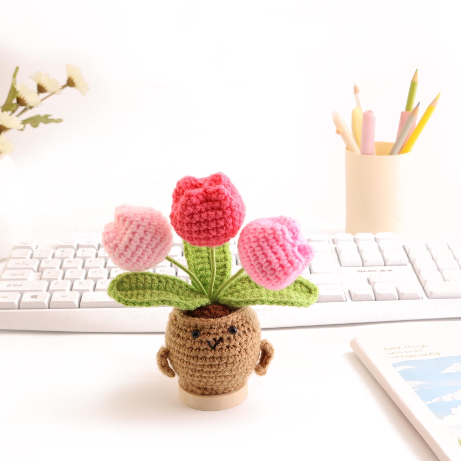 Hand-Woven Mini Tulip Potted Plants, Desktop Ornaments, Timeless Home Office …