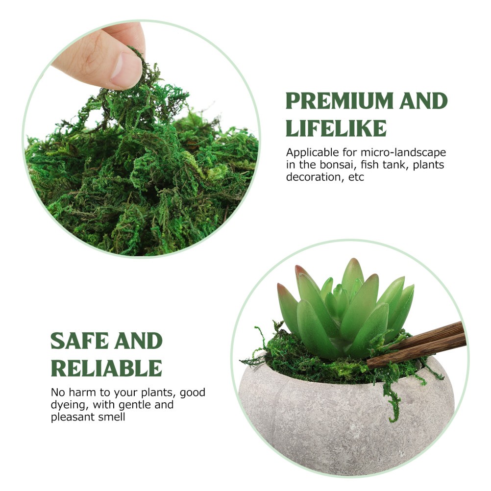 Green Moss Plant Crafts Decorative for Bonsai Artificial Crafting