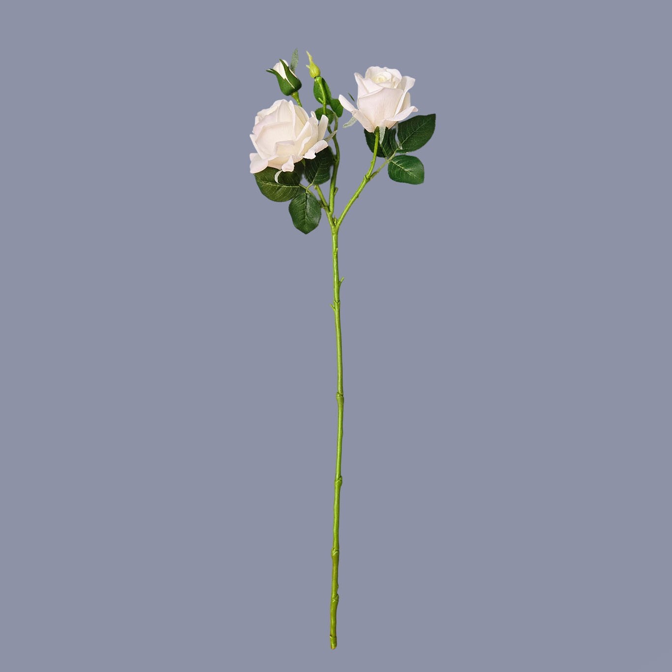 10pcs Artificial 3-Head Roses – Each Stem Features 2 Full Blooms and 1 Bud.Gift
