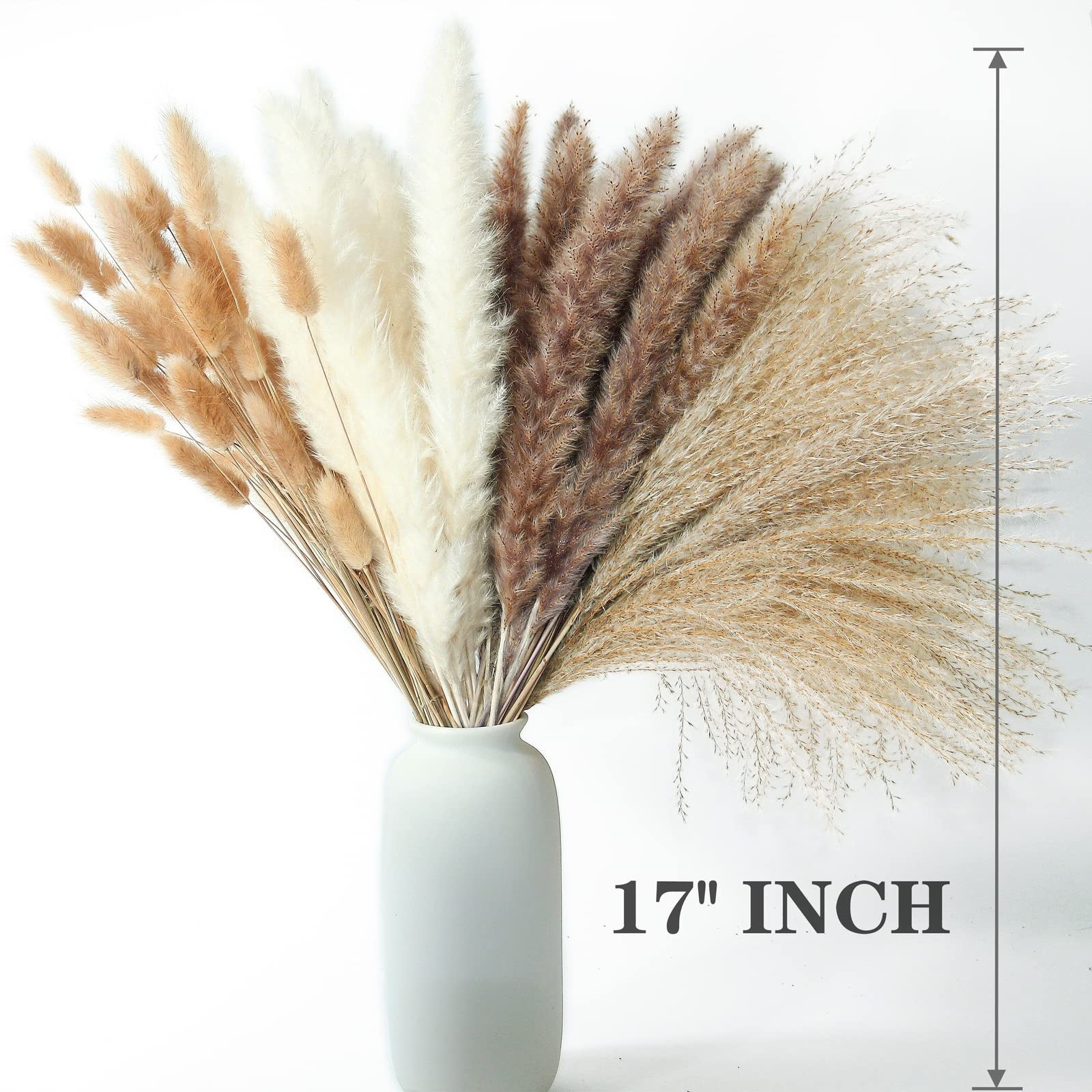 300x Dried Pampas Grass Floral Bouquet – Boho Home, Wedding, All Season Decor