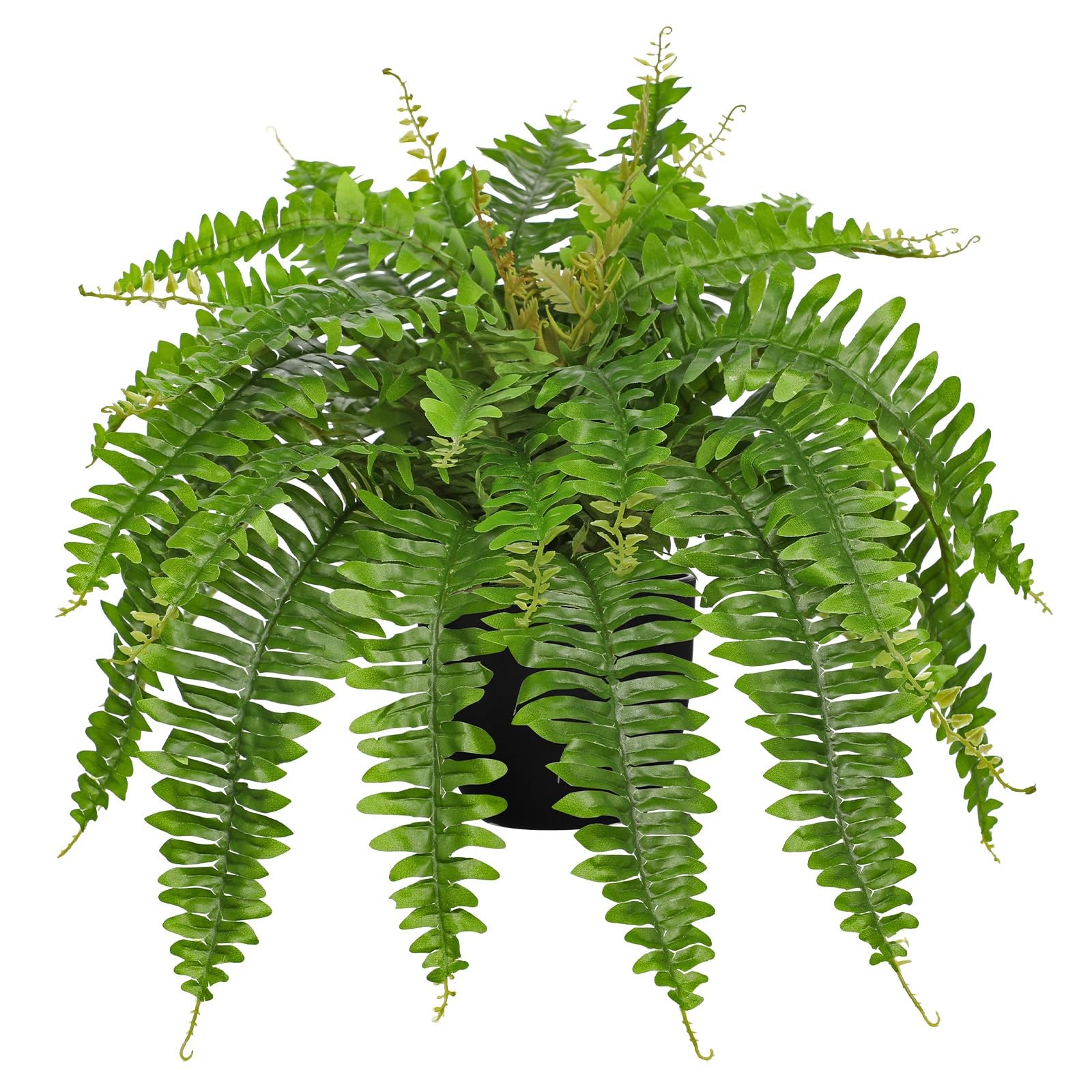 Hollyone Artificial Fern Plants in Pot 25.5″ Black – Green Medium
