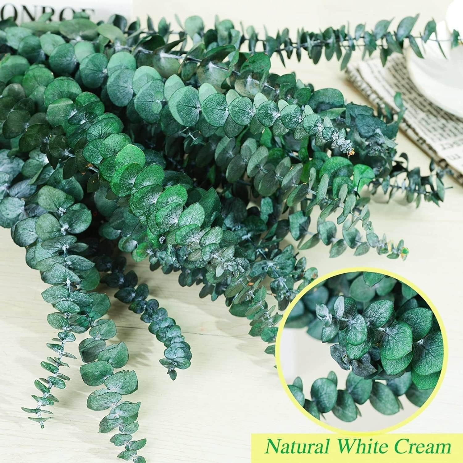Bulk Package 30 PCS Real Dried Eucalyptus Plant Large Stems for Shower, Natural
