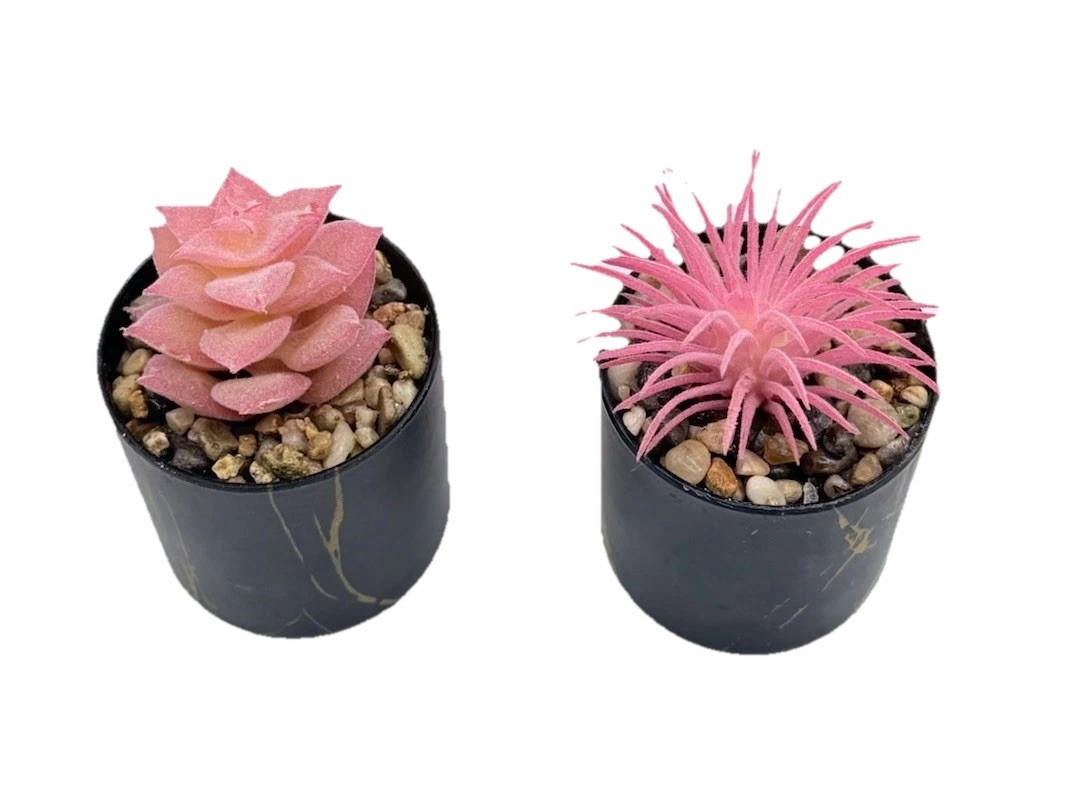 2 pcs Artificial Pink Succulent & Cactus Houseplant, Black Pots 3.5 inch