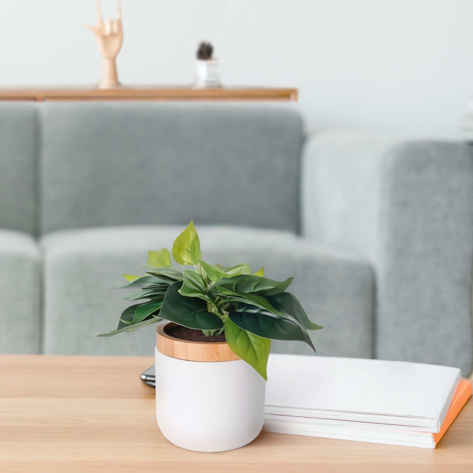 Decorative Plant Storage Jar | Great For: Office, Desk, Pet Treats, Gift, Etc.