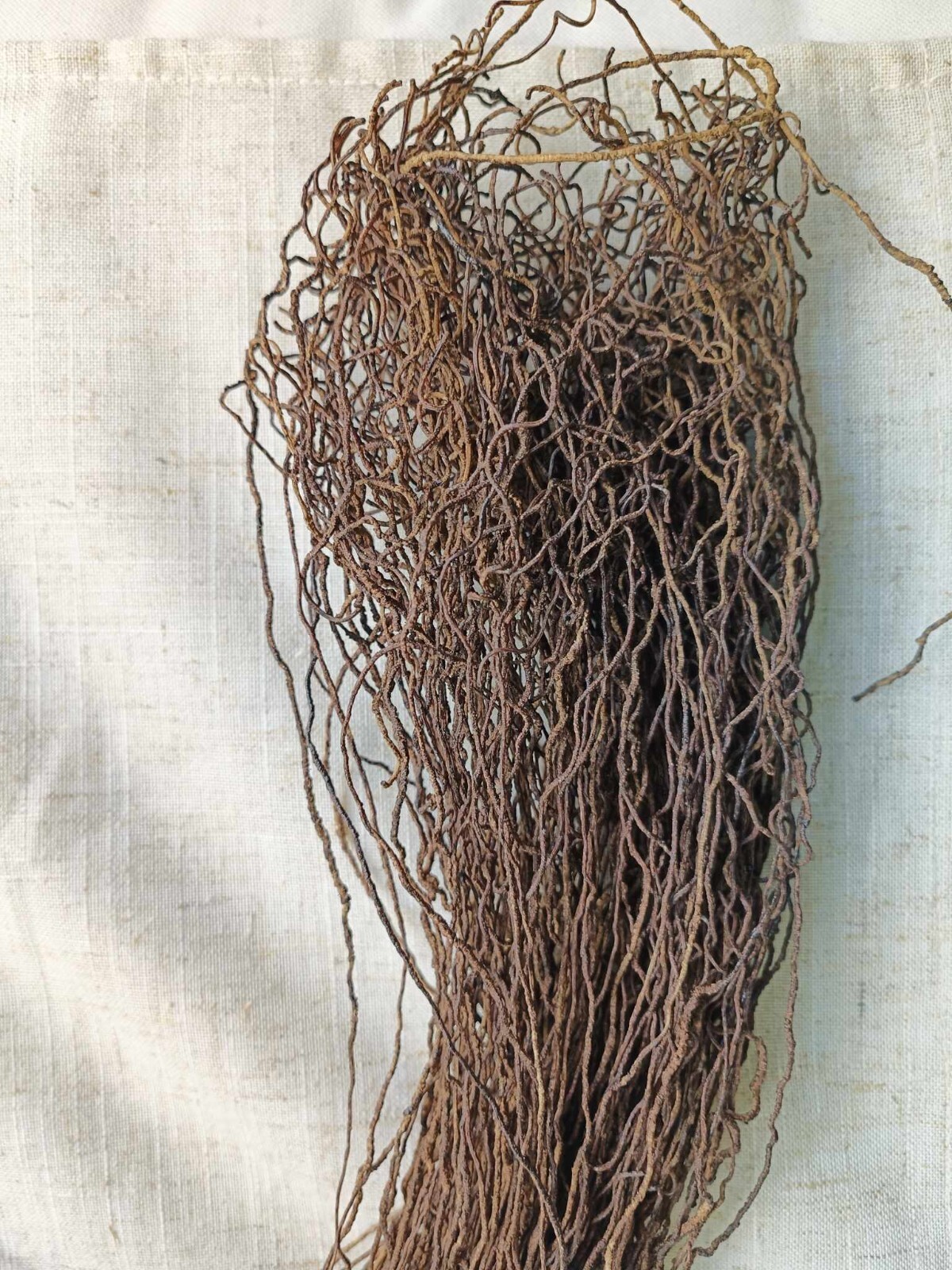 FLORA BELLE Artificial BRAMBLE VINE **BNWT * Ideal for weddings or tablescapes