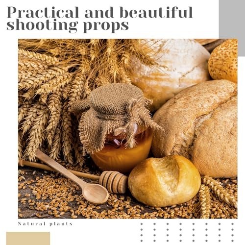 800 Dried Wheat Stalks Bundle – Natural Wheat Grass for DIY Decor, Centerpieces