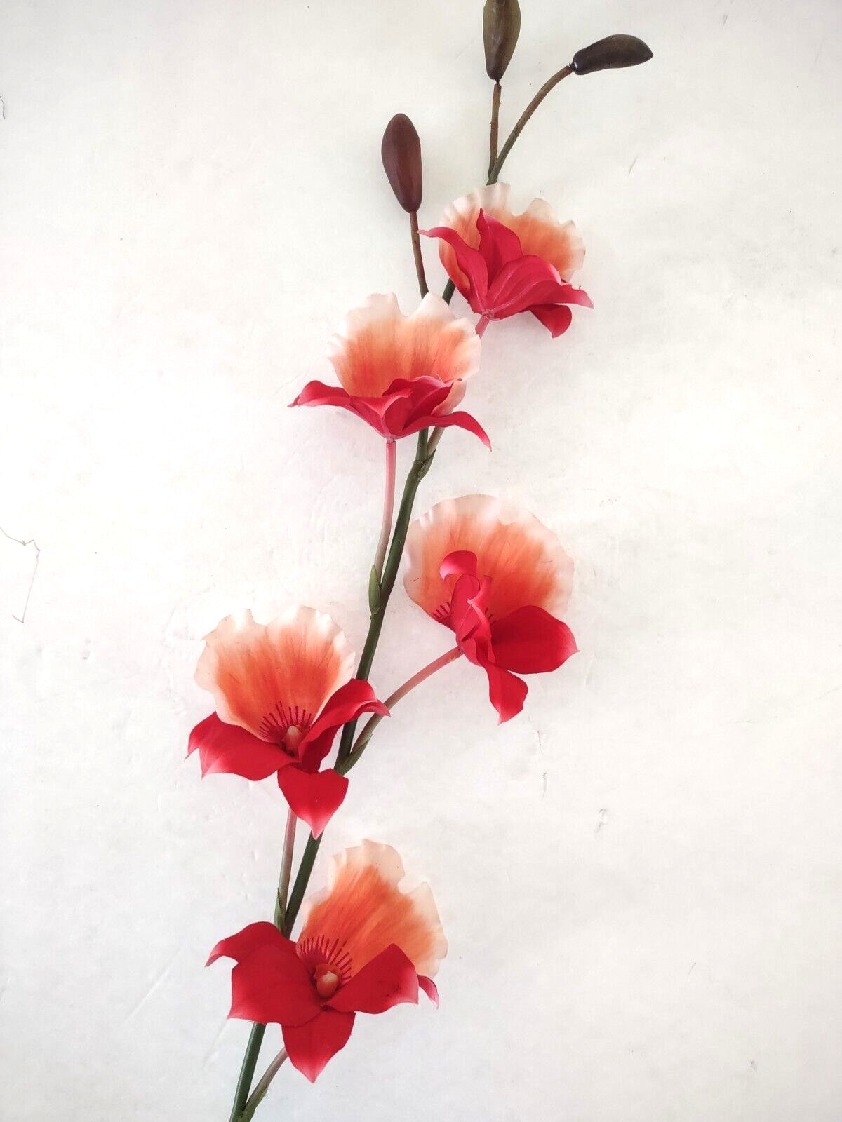 Artificial miltoniopsis orchid stem CORAL/PEACH