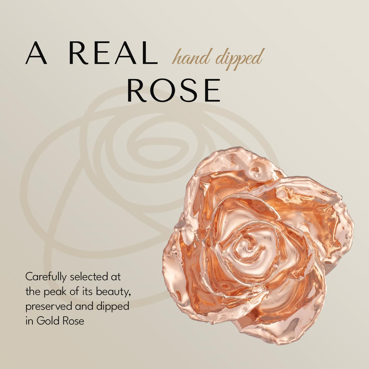 Bloom Box Bundle | a Genuine, One of a Kind Hand Dipped Rose Gold with Beautiful