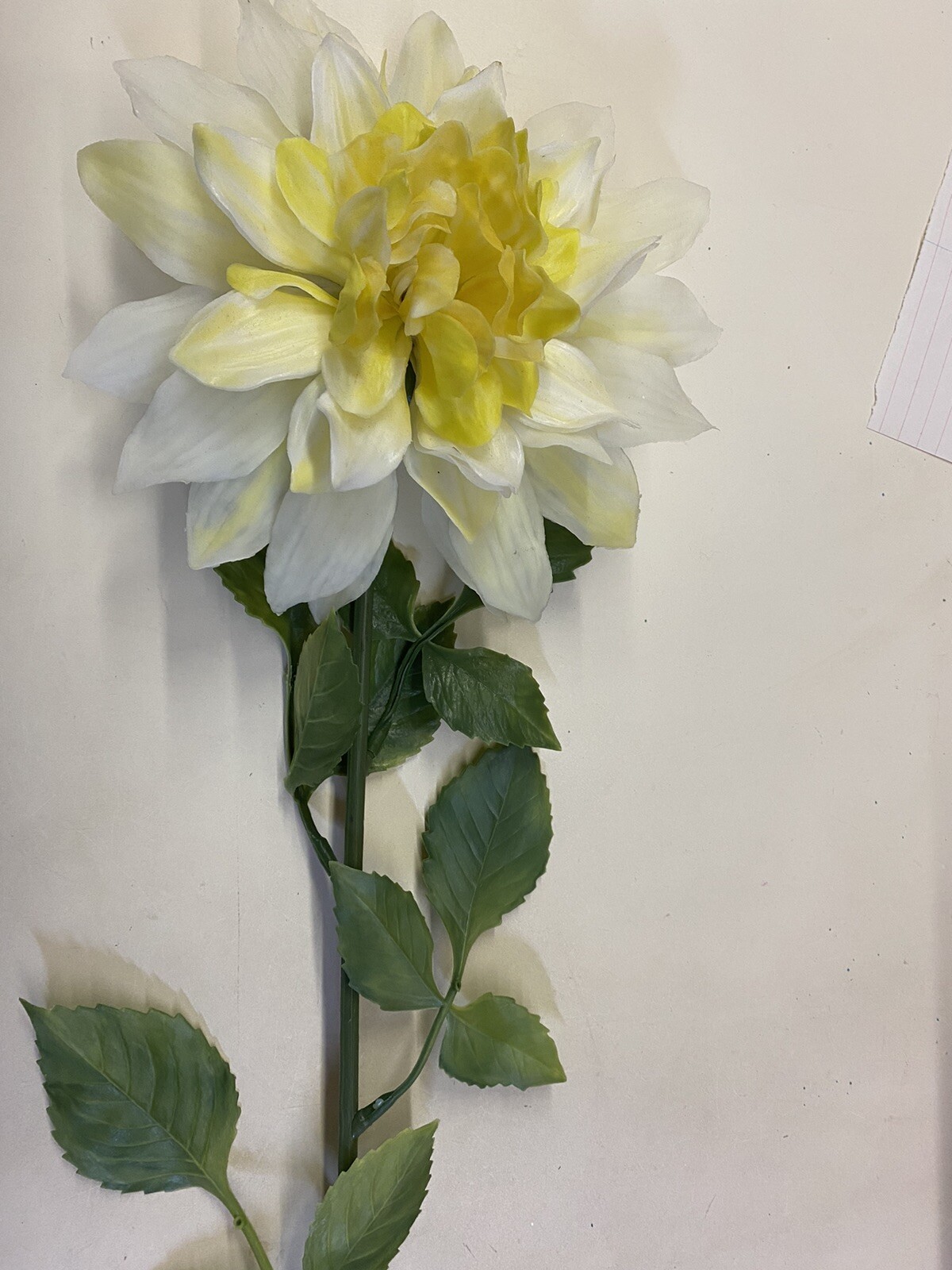 Large Plastic White and Yellow Dahlia Flower Stem – Hong Kong -Vintage