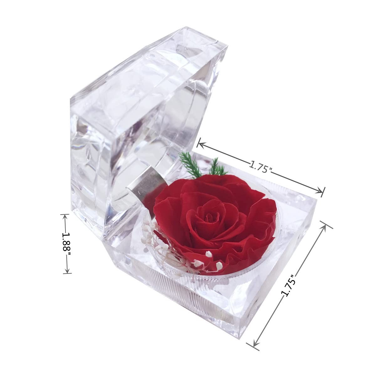 Preserved Rose Real Forever Rose in Mini Clear Ring Box, Eternal Flower Rose …