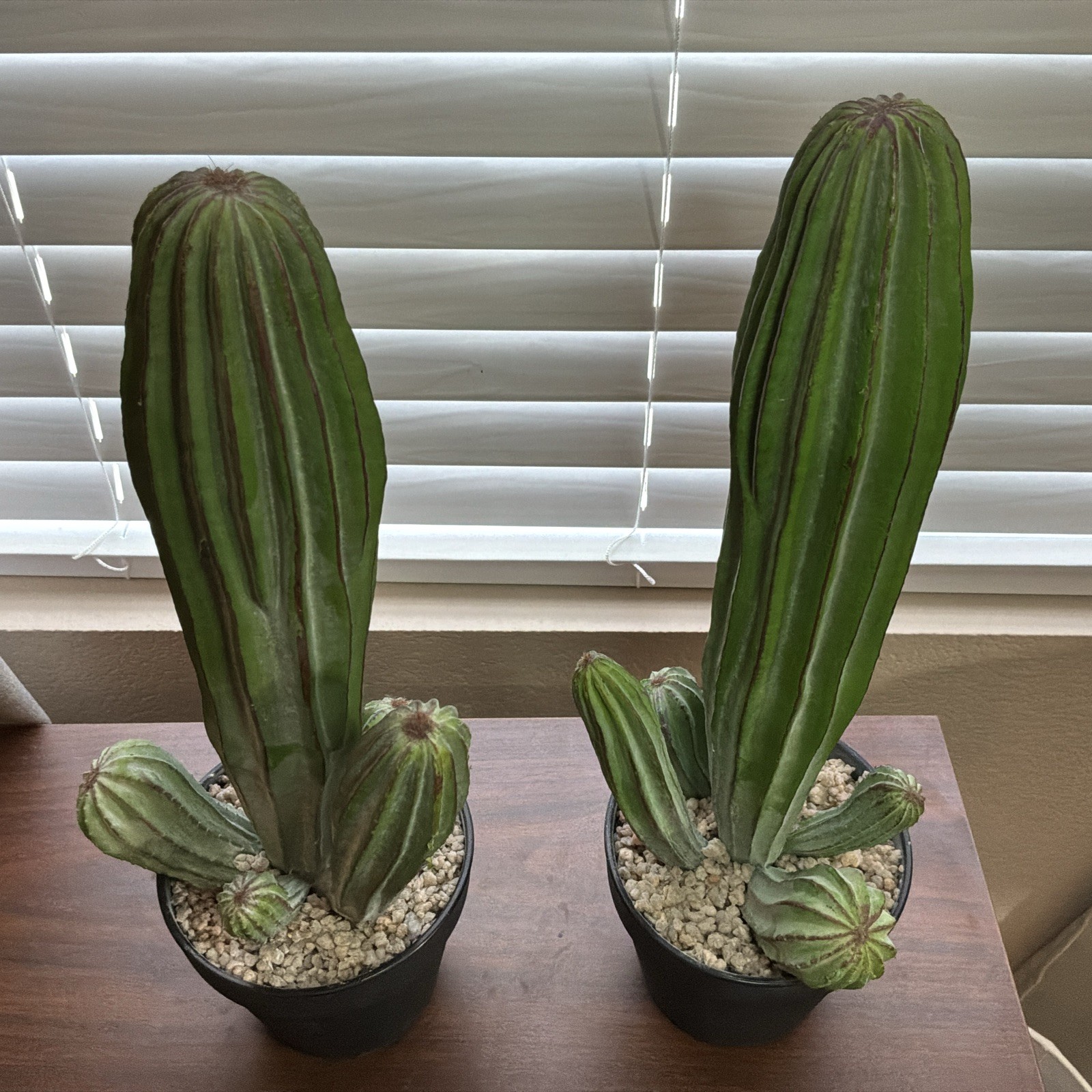 Artificial Cactus Fake Cacti 16″ Faux Potted Cactus Plants for Decor