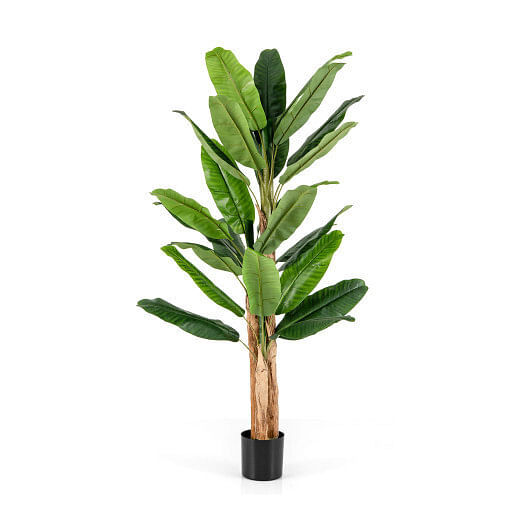 5.5/6.5 Feet Tall Artificial Banana Tree with 10/27 Large Leaves-6.5 ft – Size: