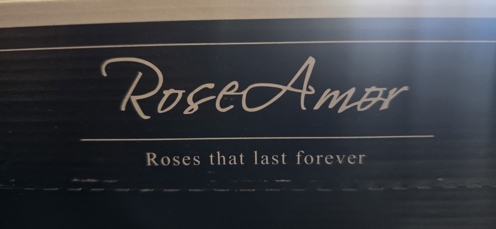 Preserved Roses Forever Roses 6 Pack Metallic Blue XL Ecuador
