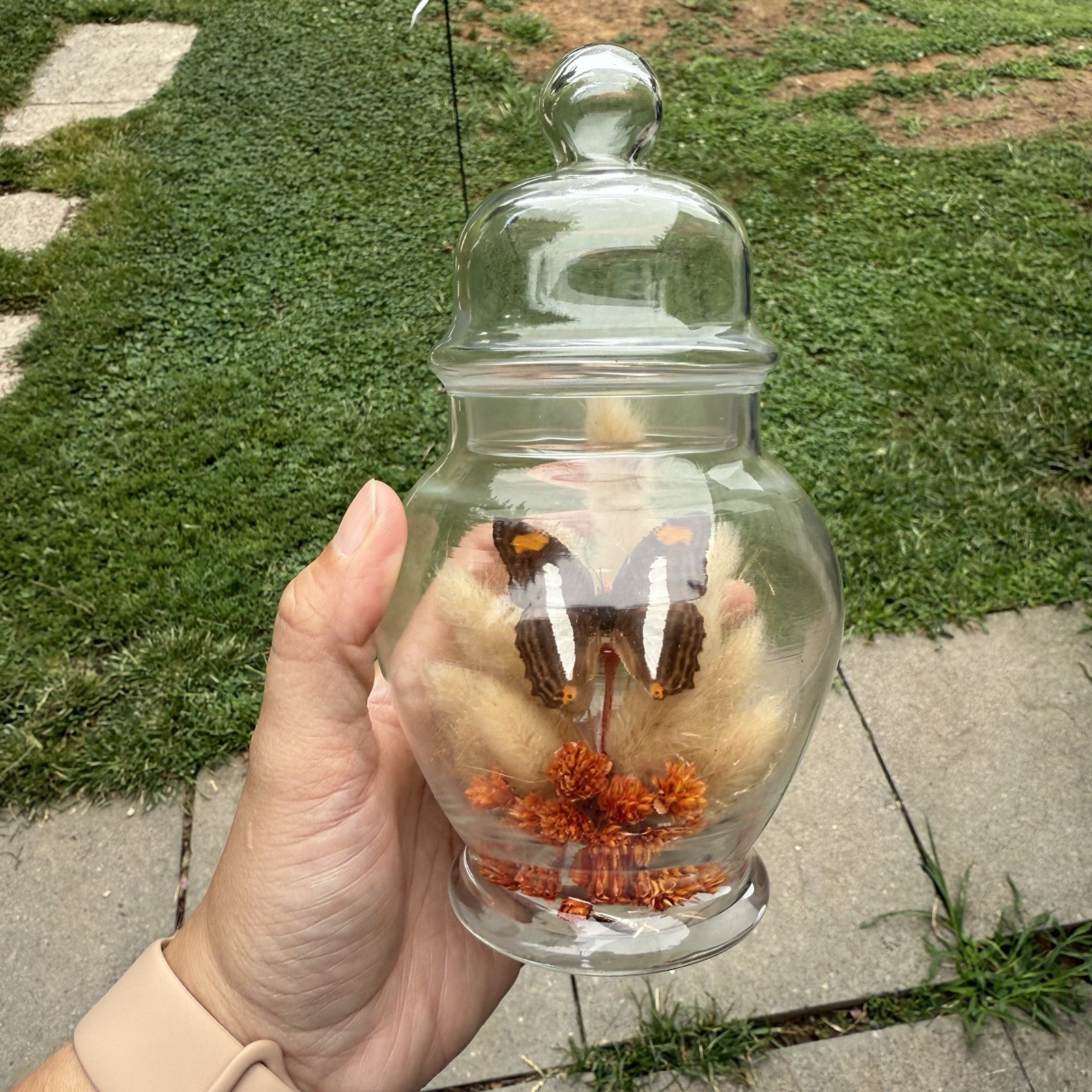 Vintage Glass Dome Apothecary Butterfly Terrarium Boho MCM Cottagecore 7” Floral