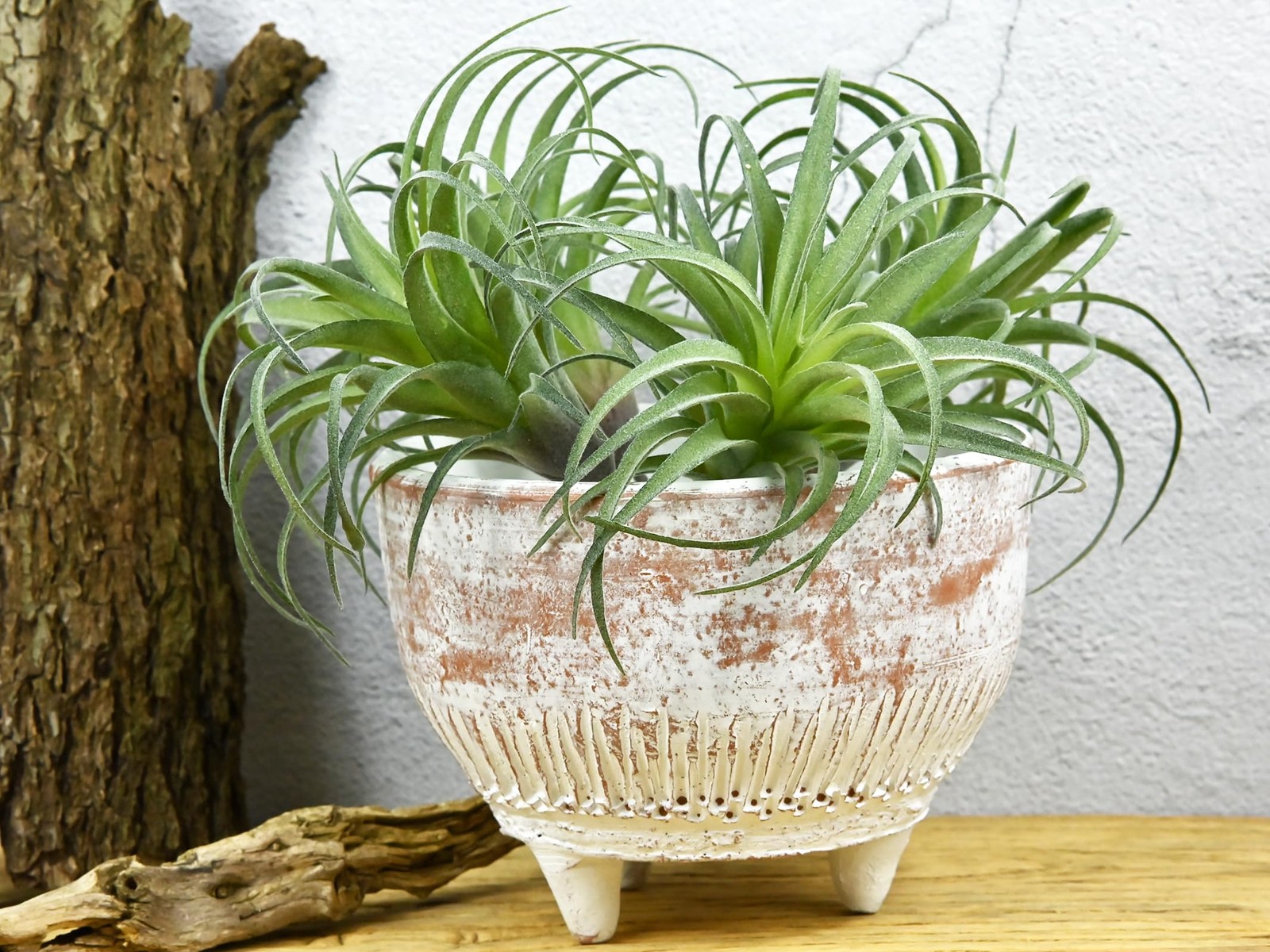 Fake Artificial Tillandsia Air Plants, 4pcs Flocked Green Faux Bromeliads for…