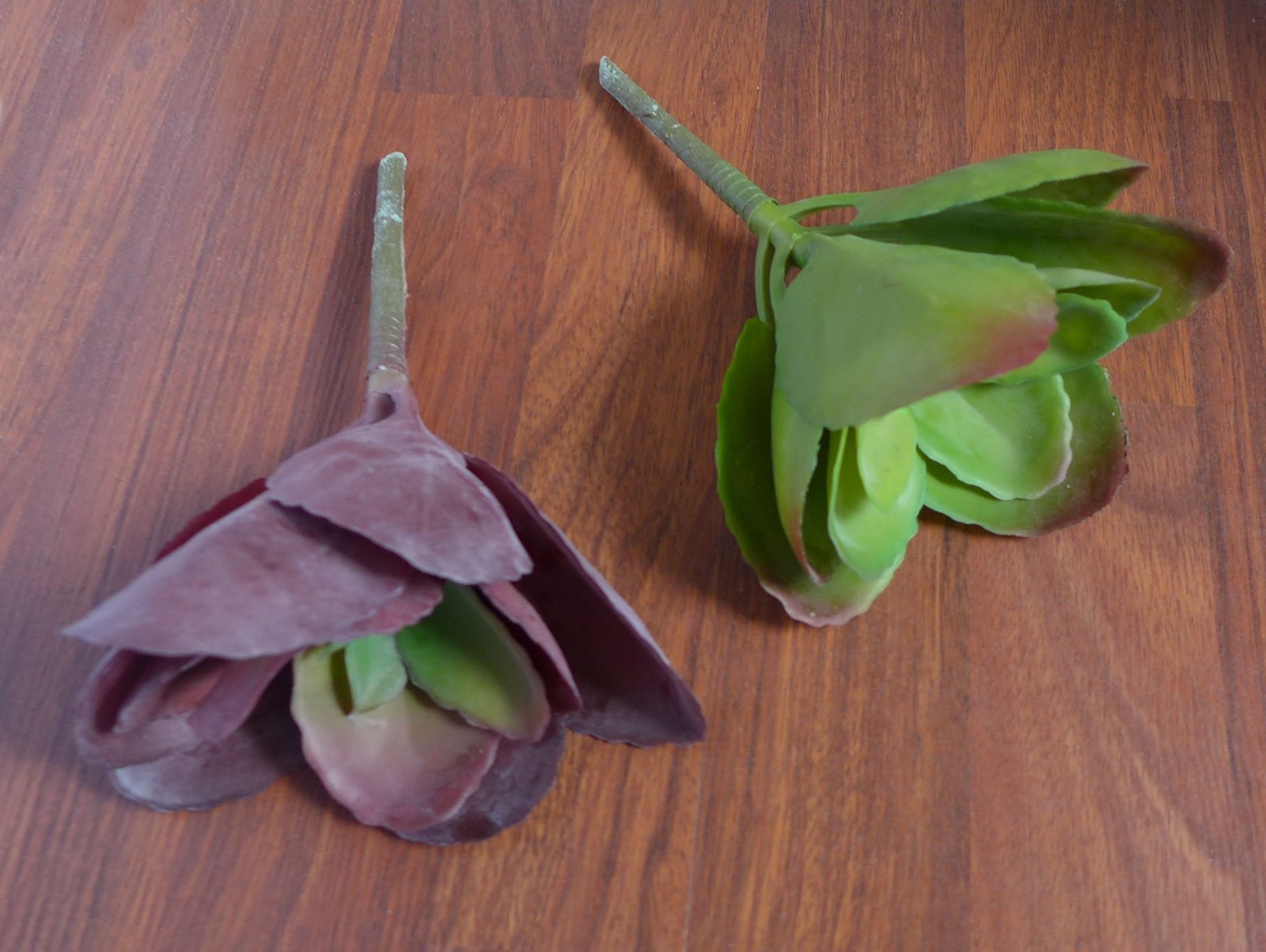 2 Artificial Dester The Leaf Grass Succulent Plants