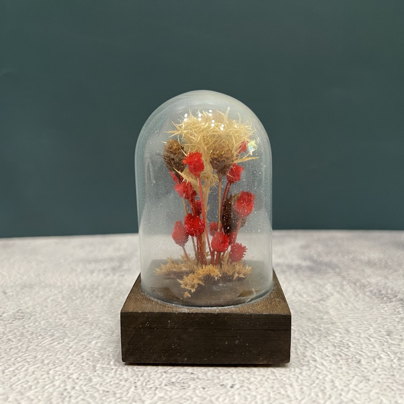 Vintage 70s Mid Century Modern Mini Dried Floral Cloche Flower Dome Terrarium
