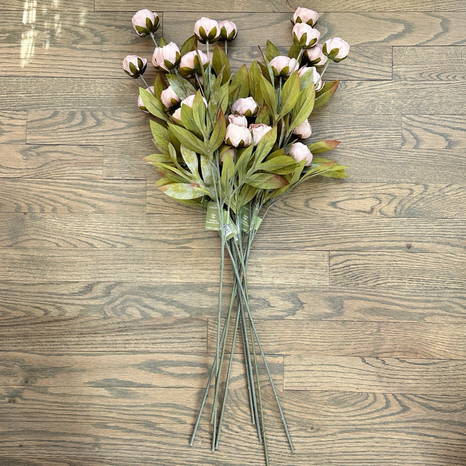 8 Ashland by Michael’s 11.5” Tan Peony Stems