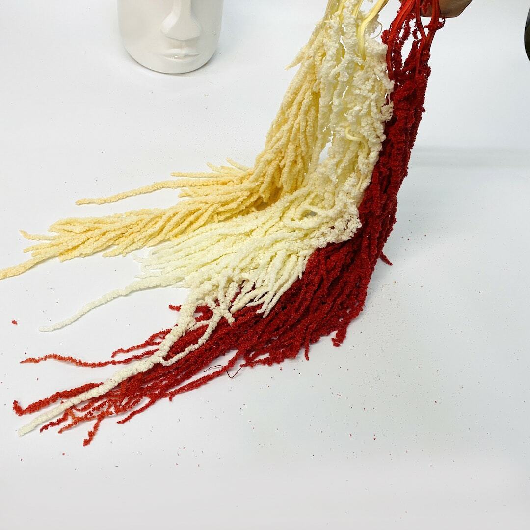 Preserved Amaranthus Premium Natural Dried Flowers Home Wedding Bouquet Decor