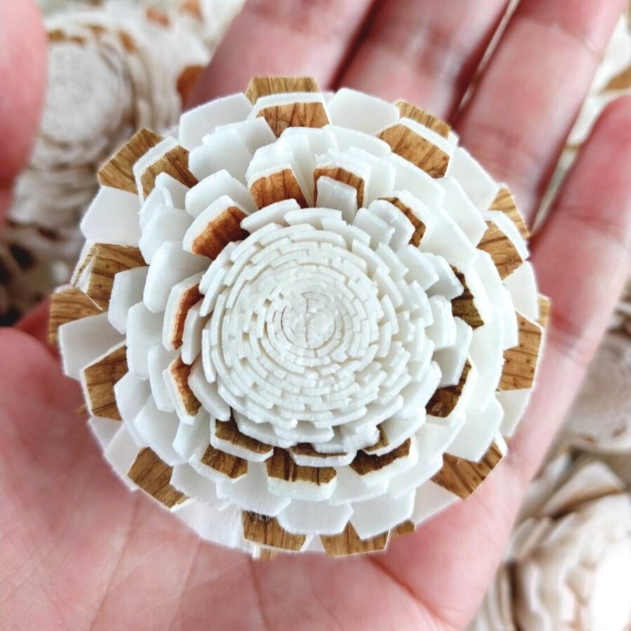 50 Marigold Sola Flower mixed with brown, Diffuser Flowers Sola Wholesale.