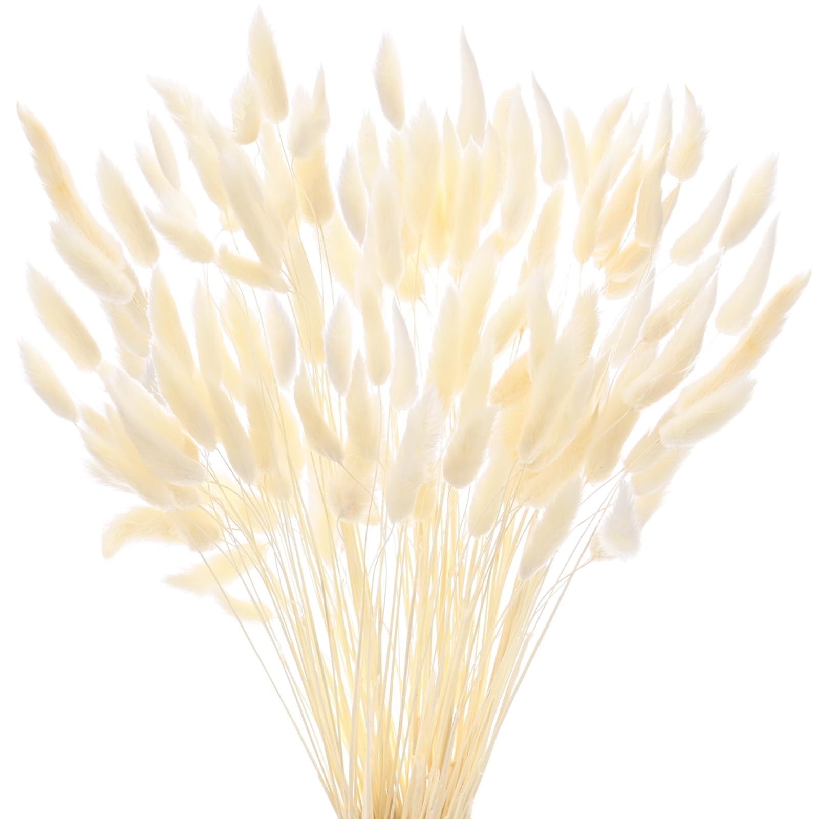 180-Pack Bunny Tails Grass 17 Inch Fluffy Rabbit Tail Grass Dried Flowers Bra…