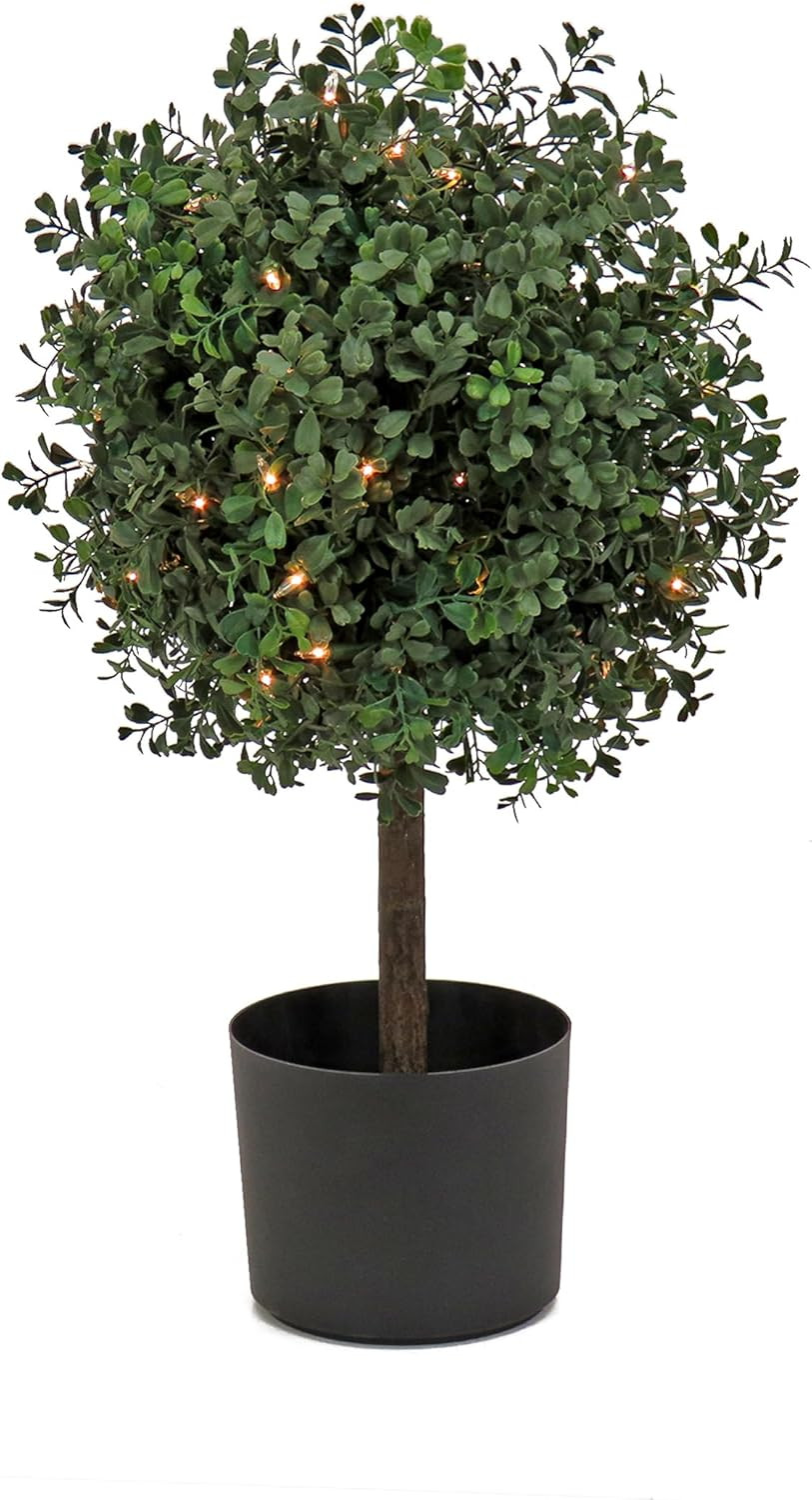 2 Ft Prelit Boxwood Topiary with 50 Clear Lights in Matte Black Pot