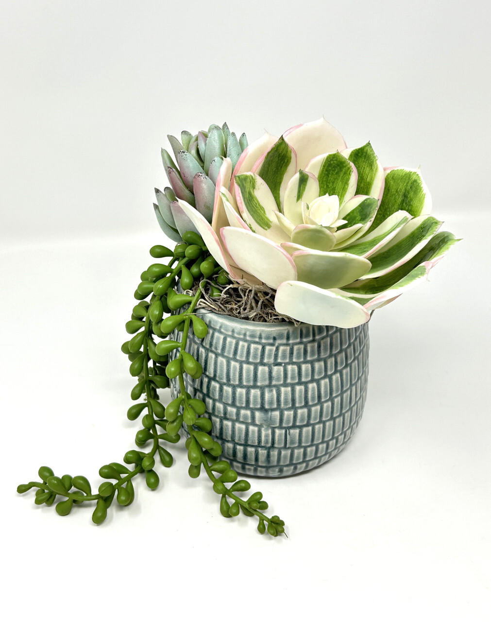 7″ Artificial White Succulent Garden #9 mixed arrangement, 4″ Teal-cream planter