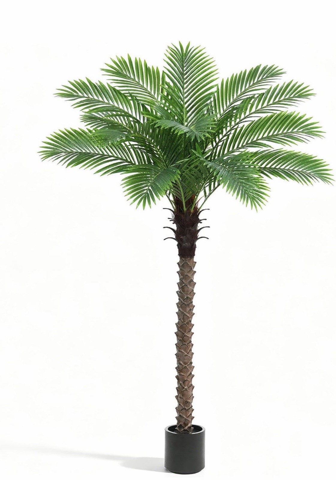 ZYFERA Artificial Palm Tree, 6ft (72in) Green/Brown, Tropical Planter