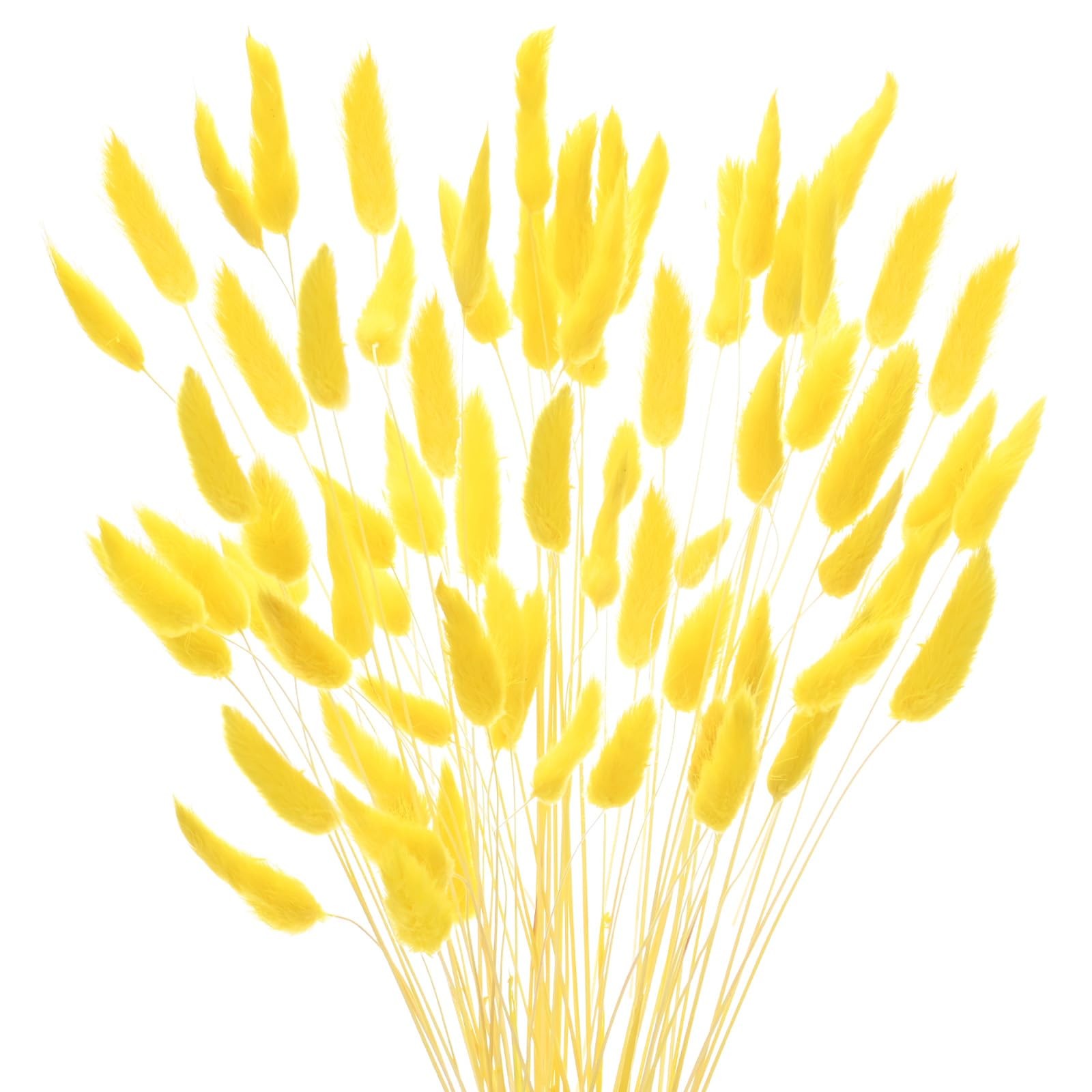 60 PCS Bunny Tails Grass 17 Inch Fluffy Rabbit Dried Flowers Branches Golden