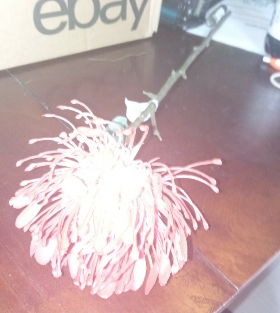 Artifical Flower-Brand New-SHIPS N 24 HOURS