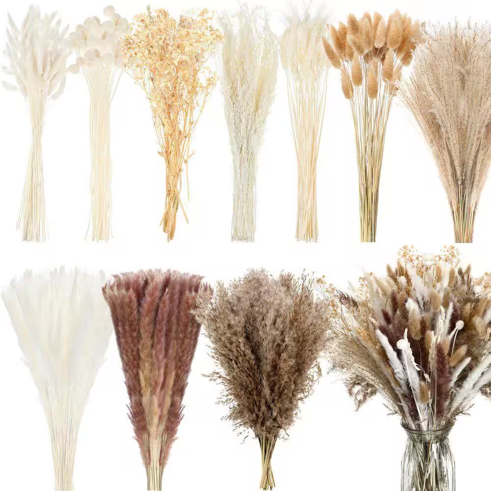 17 in Dried Pampas Grass Decor Bulk, White Pampas Reed Grass Fluffy Pampas Grass