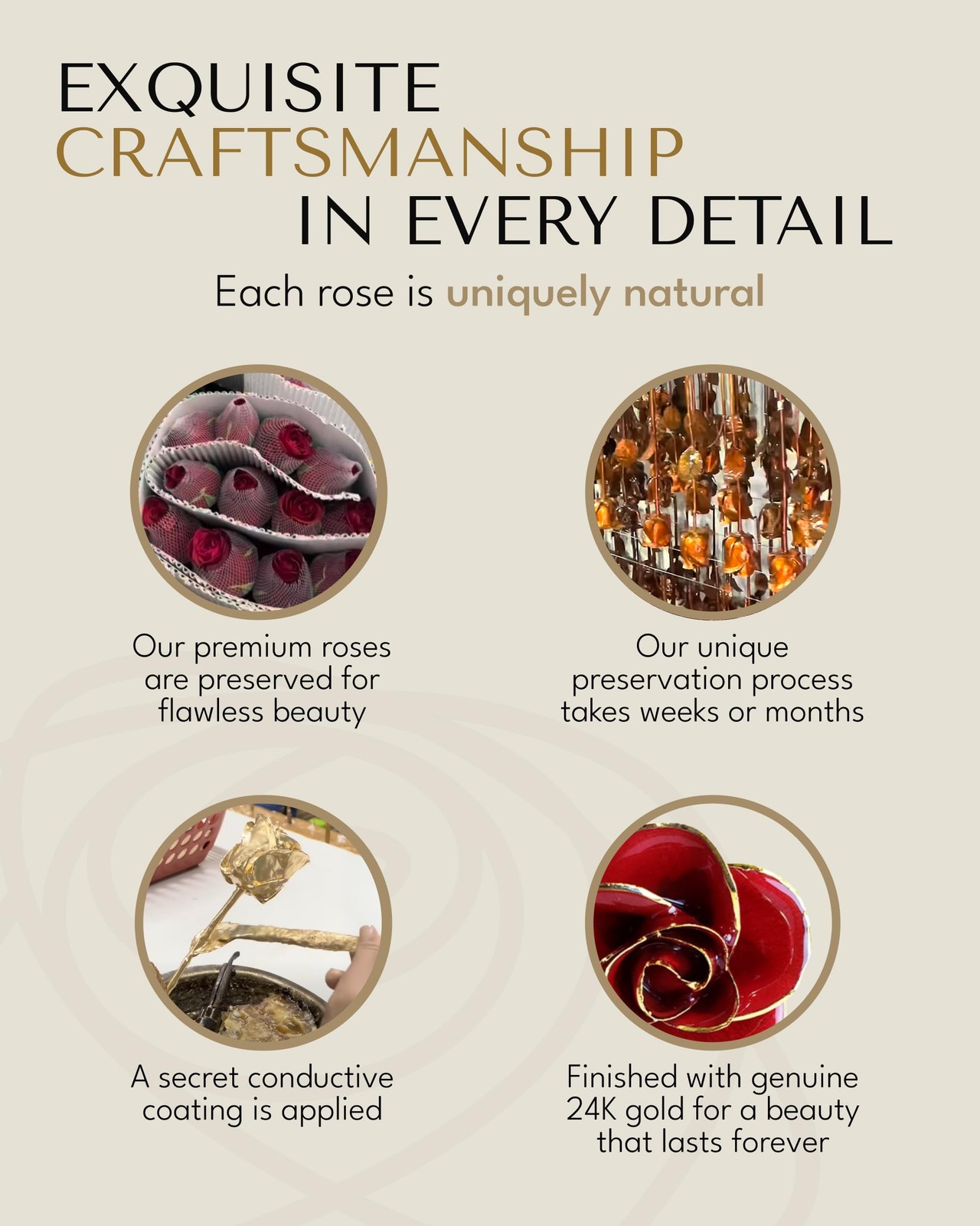 Forever Rose Gold Trimmed Red Open Bloom Real Rose Dipped in 24K