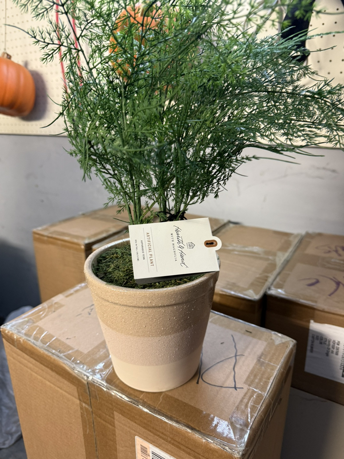 Hearth and Hand with Magnolia Artificial Faux Potted Plants Asparagus Fern