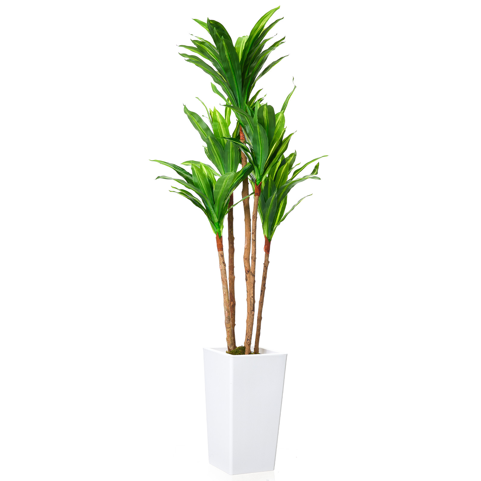 4.8FT Artificial Dracaena Tree Tall Faux Plant in White Planter Office Decor