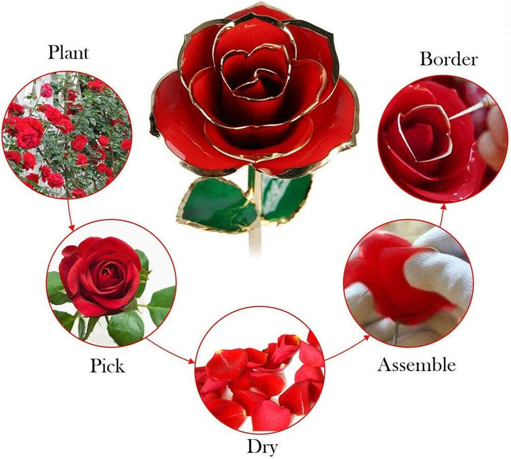 Valentines Day Gifts for Her, Real Rose Dipped in 24K Gold, Preserved Rose Flowe