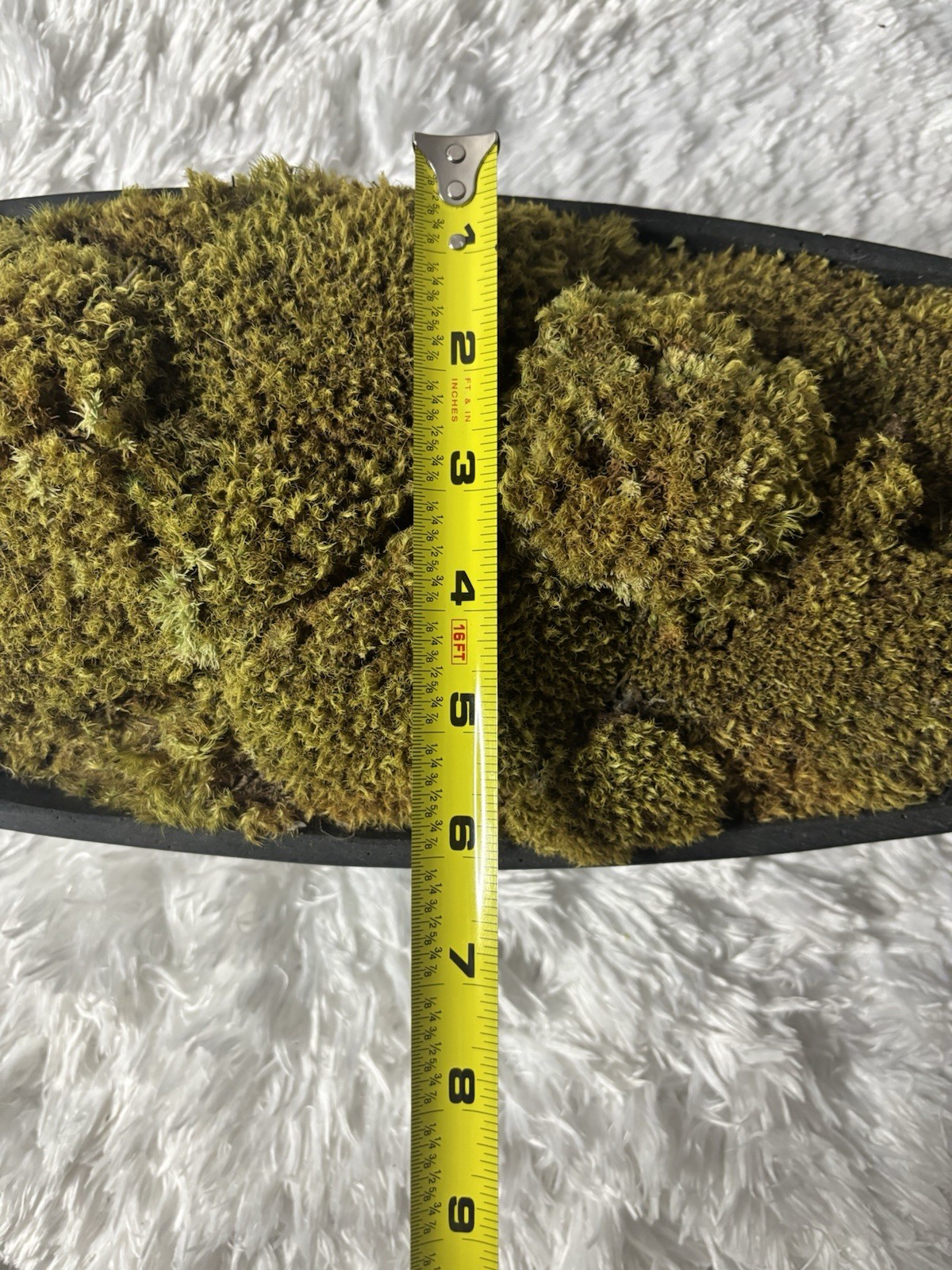 Moss centerpiece decor Dimensions 20.5” x L 6” x W 4-5 x H
