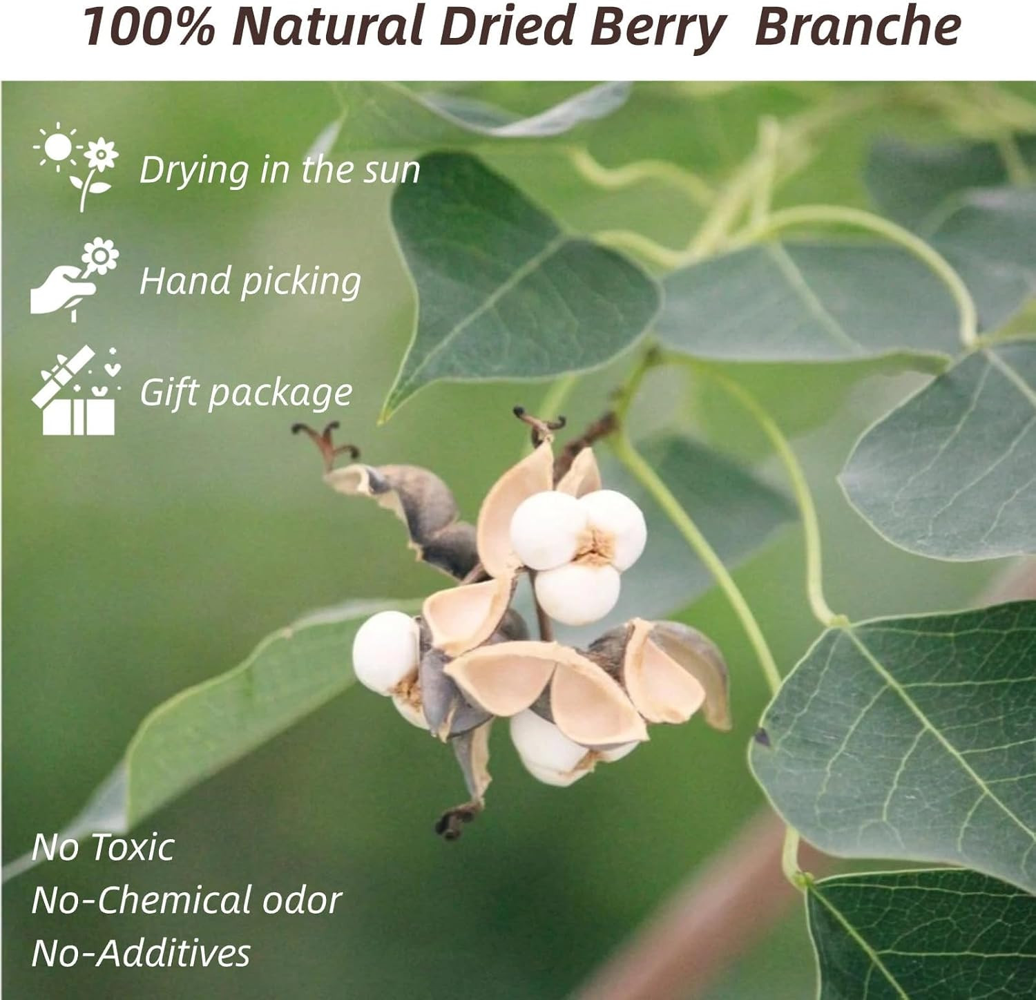 220g Tallow Berries Dried Christmas Decor- 17″ Natural Stem Wedding Floral Decor