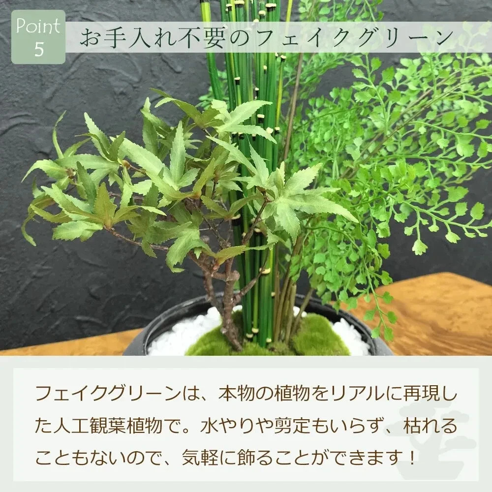 Artificial Japanese Bonsai Maple Adiantum Horsetail Plant CUPBON Made in Japan
